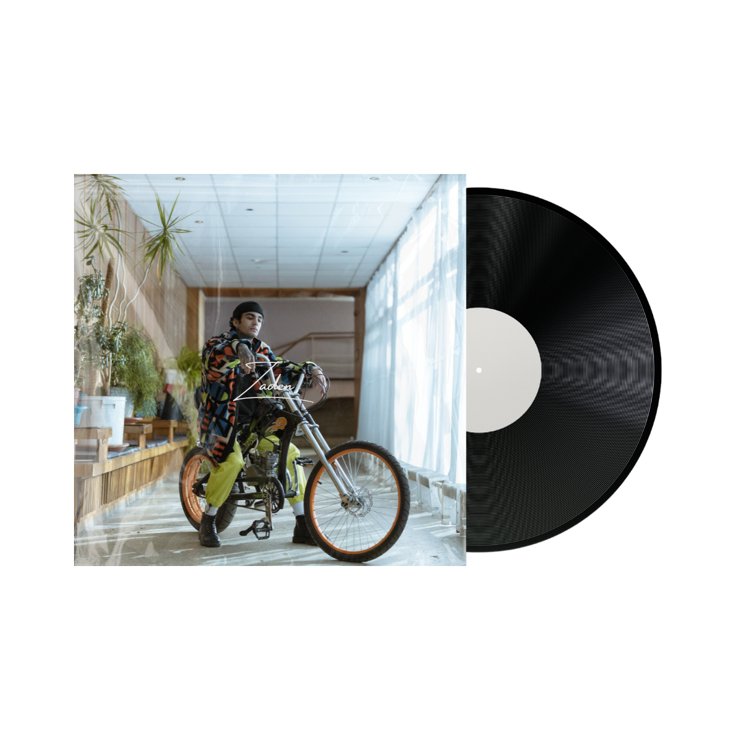 Money and Memories Vinyl LP Cover 1